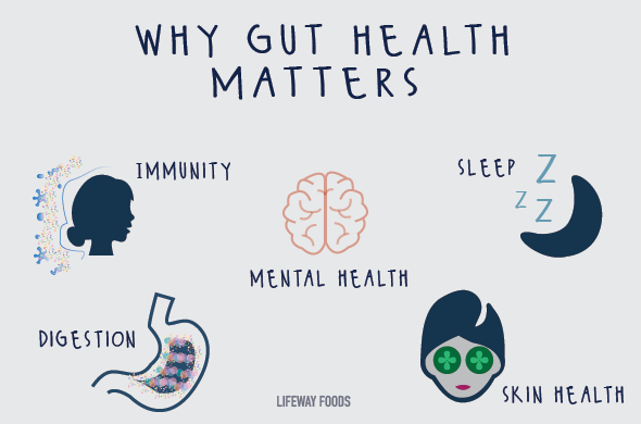 gut health course